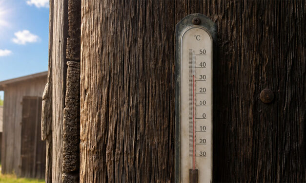 Die wundersame Vermehrung der „Hitzetoten“: Wenn aus statistischen Modellrechnungen plötzlich echte Tote werden