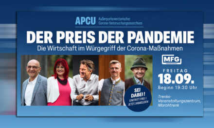 Der Preis der Pandemie: Unternehmer berichten über die Corona-Jahre